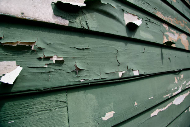 Best Siding Removal and Disposal  in , ID