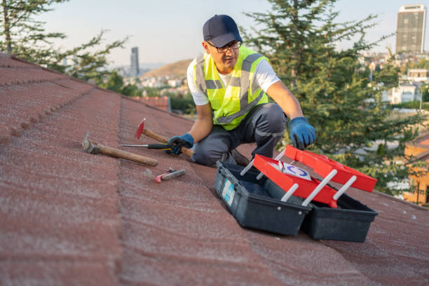 Best Historical Building Siding Restoration  in , ID